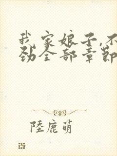 我家娘子,不对劲全部章节封面