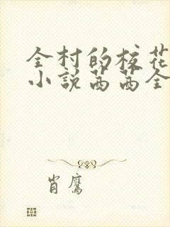 全村的校花妹妹小说茜茜全文阅读