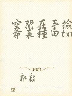 空间在手捡个王爷来种田txt