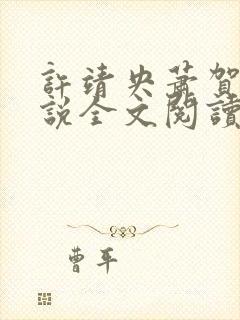 许靖央萧贺夜小说全文阅读最新章节封面