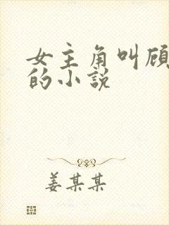 女主角叫顾清欢的小说