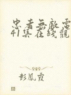 忠者无敌电视剧41集在线观看免费