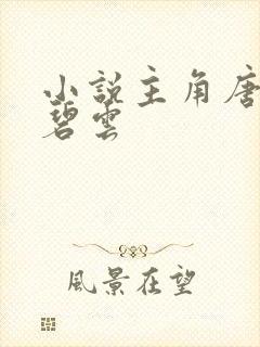 小说主角唐枫温碧云