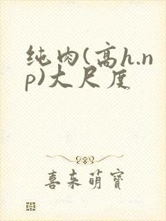 纯肉(高h.np)大尺度
