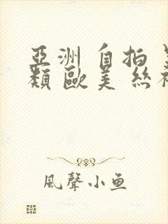 亚洲 自拍 另类 欧美 丝袜