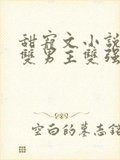 甜宠文小说推荐双男主双强封面