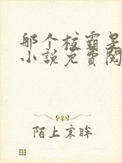 那个校霸是我的小说免费阅读封面