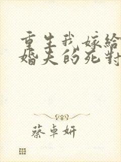 重生我嫁给了未婚夫的死对头