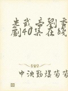 光武帝刘秀电视剧40集在线观看