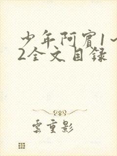 少年阿宾1～72全文目录