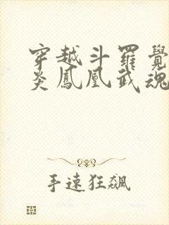 穿越斗罗觉醒黑炎凤凰武魂