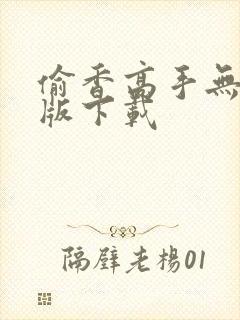 偷香高手无删减版下载