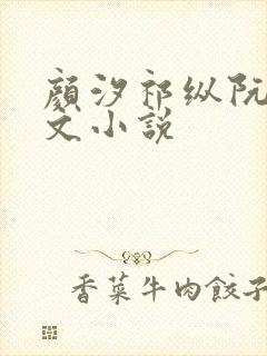 颜汐祁纵阮念全文小说