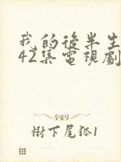 我的后半生免费42集电视剧剧情封面