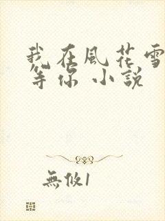 我在风花雪月里等你 小说封面