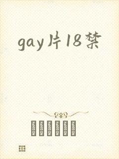 gay片18禁