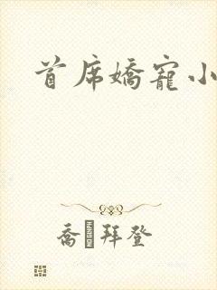 首席娇宠小情人封面