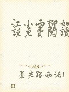 江小雨柳如烟小说免费阅读最新章节