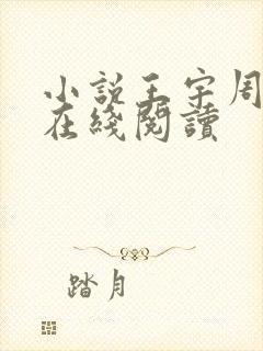 小说王宇周美琴在线阅读