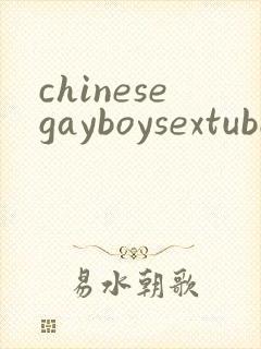 chinesegayboysextube