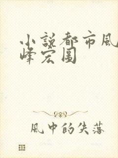 小说都市风云巅峰宏图