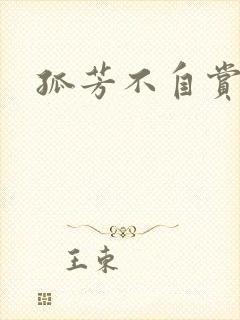 孤芳不自赏小说