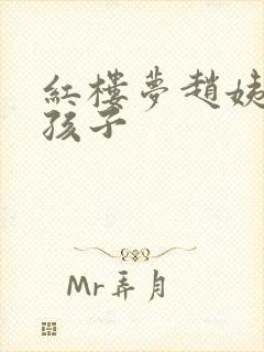 红楼梦赵姨娘的孩子