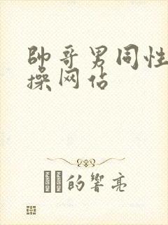 帅哥男同性恋互操网站