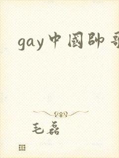 gay中国帅哥