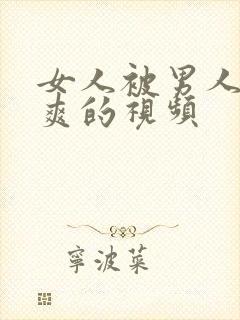 女人被男人干到爽的视频