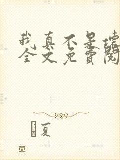 我真不是坏男人全文免费阅读封面