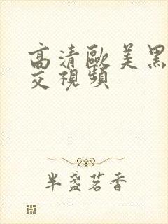 高清欧美黑人猛交视频