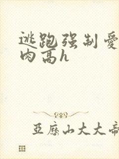 逃跑强制爱(巨肉高h