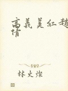 高义美红赵敏孙倩封面