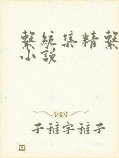 系统集精系统 小说