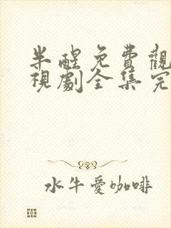 半醒免费观看电视剧全集完整版24集