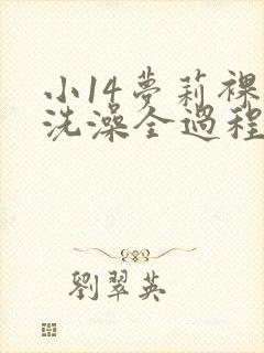 小14梦莉裸体洗澡全过程