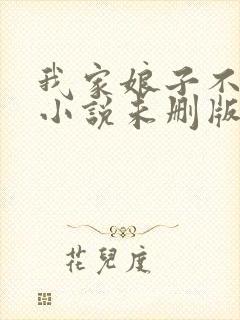 我家娘子不对劲小说未删版下载txt封面