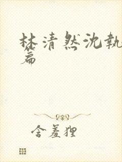 林清然沈执番外篇