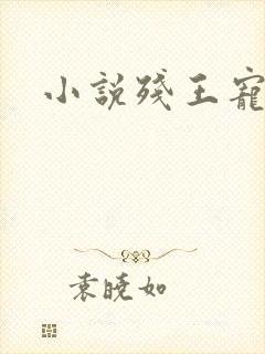 小说残王宠妃封面