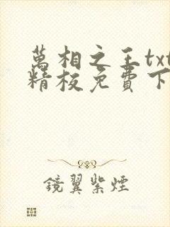 万相之王txt精校免费下载