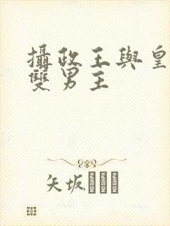 摄政王与皇上的双男主