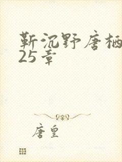 靳沉野唐栖雾第25章