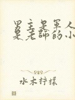 男主是军人女主是老师的小说