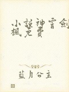 小说神霄剑宗林枫免费封面