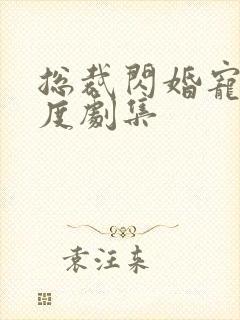 总裁闪婚宠妻无度剧集封面