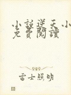 小说逆天小毒妃免费阅读