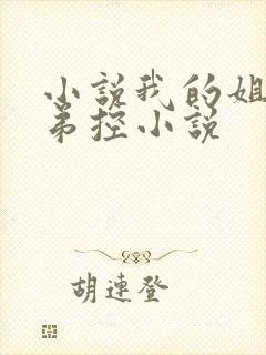 小说我的姐姐很弟控小说封面