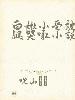 白嫩小受被强分腿哭喊小说