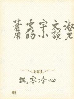 萧云宇文淑为主角的小说免费阅读